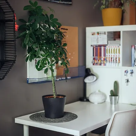 Charming Apt By Market *